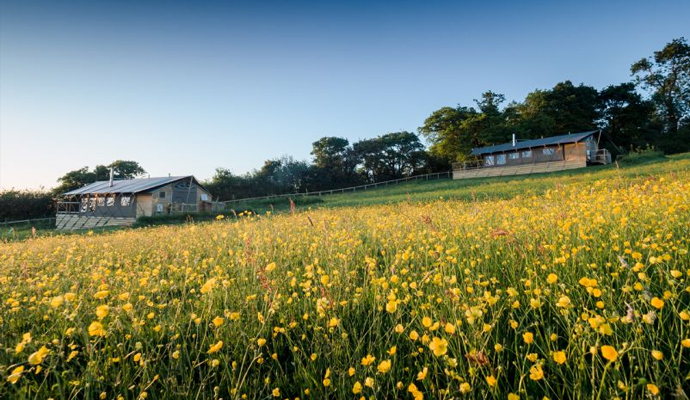 Enjoy a hot tub glamping break at Saltmarsh Hut, Norfolk, England